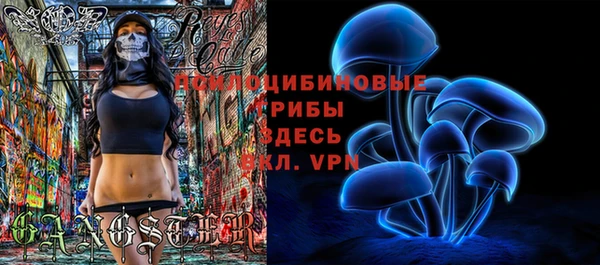 таблы Белоозёрский
