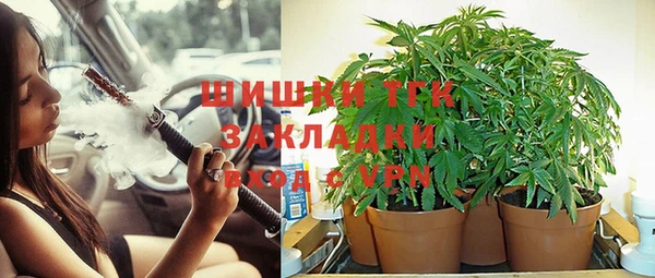 кокс Белокуриха